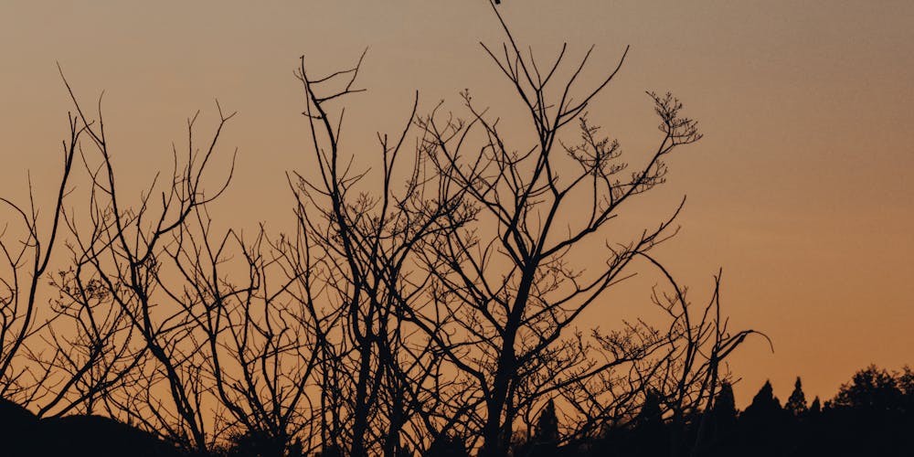 Xiên 3 miền Bắc về cỗ 83-46-31 hôm sau bắt 34-12 | danhdeonline07.com - Chiến Thuật Thông Minh Trong Dự Đoán Lô Đề